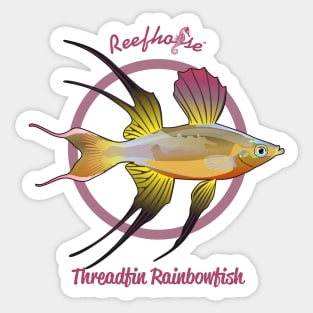 Threadfin Rainbowfish Sticker